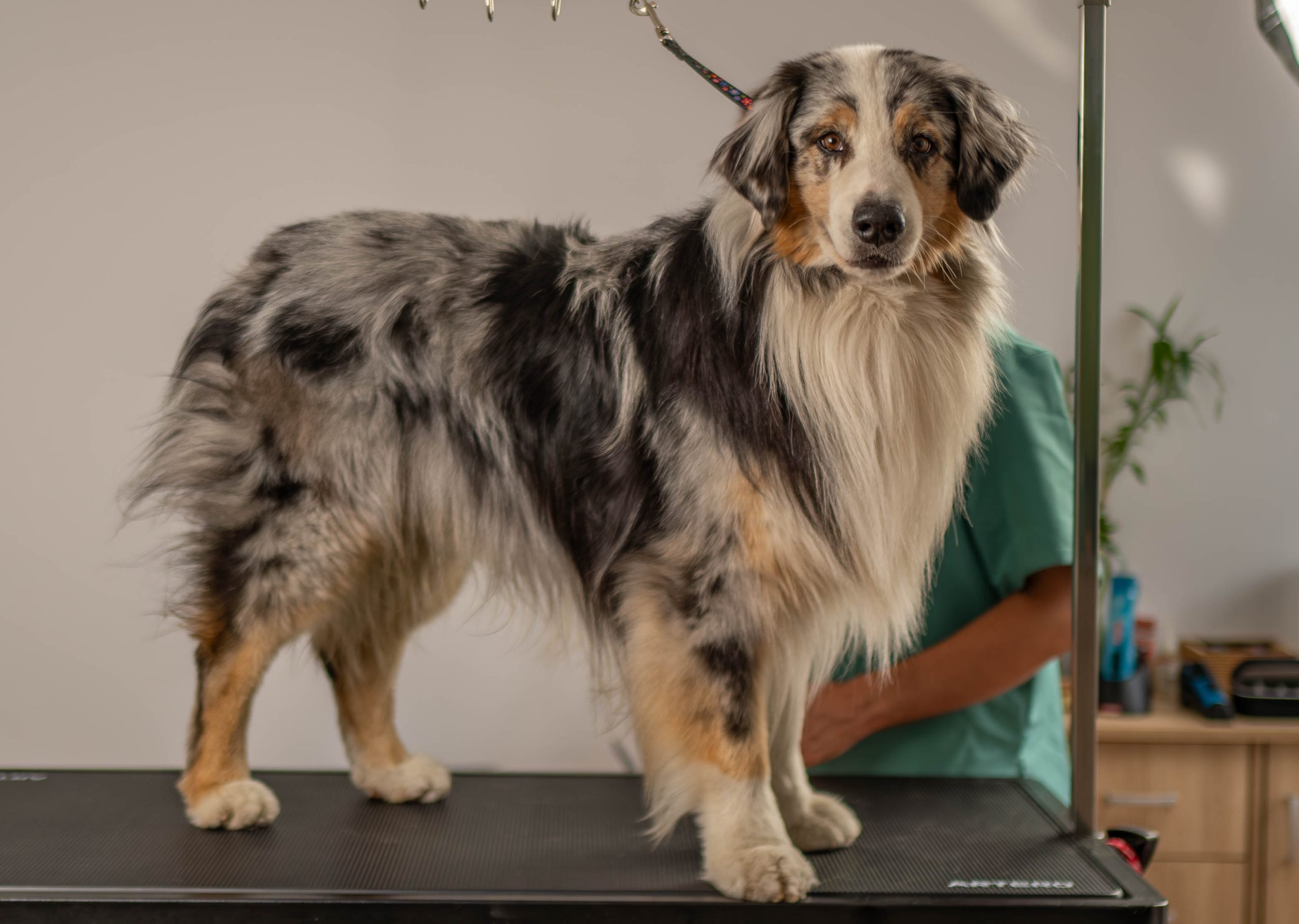 _GEK9471-Enhanced-NR