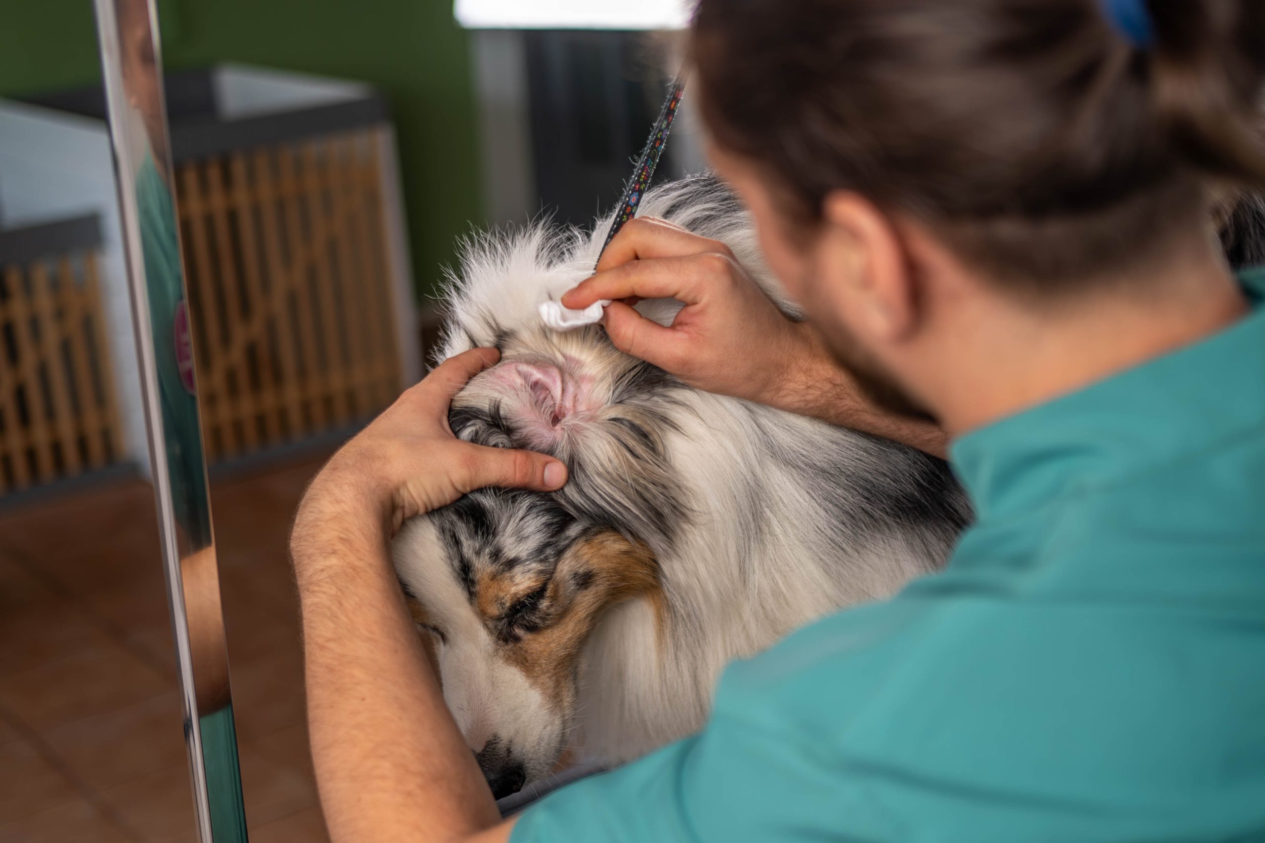 _GEK9502-Enhanced-NR