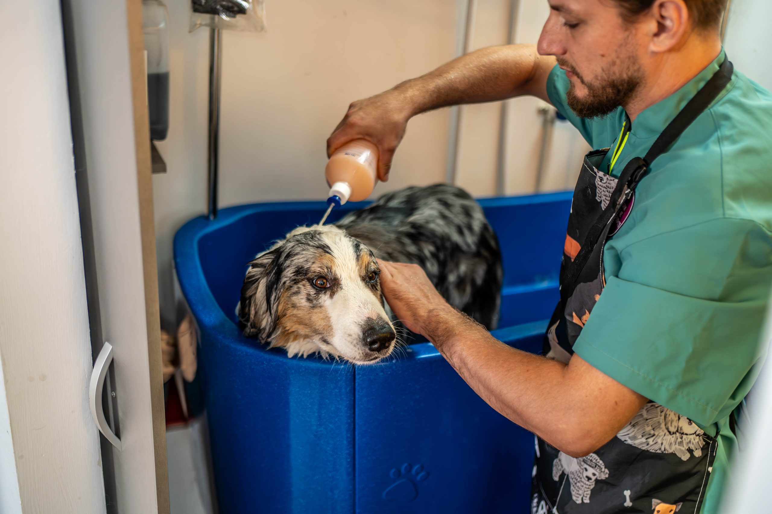 _GEK9531-Enhanced-NR