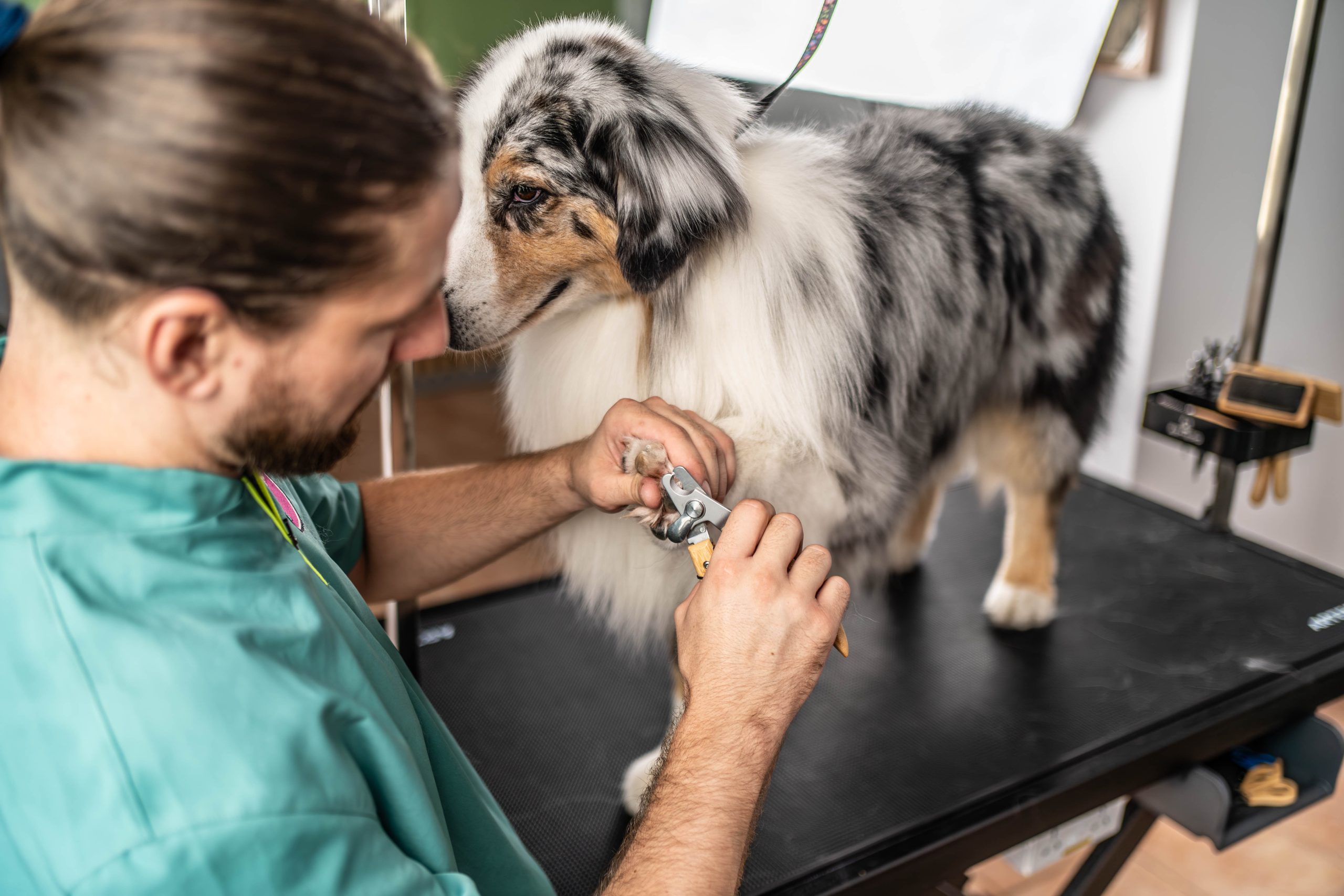 _GEK9887-Enhanced-NR